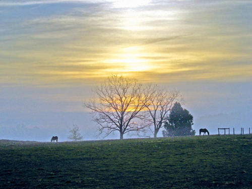 Peaceful way to start the day