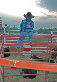 Saddle up: it’s a rodeo!