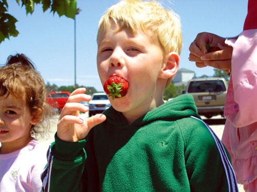 <FONT SIZE=4>Strawberry Festival opens Farmers Market</FONT>